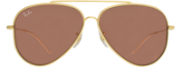 Ray-Ban 0101 21