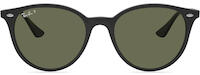 Ray-Ban 4305 31