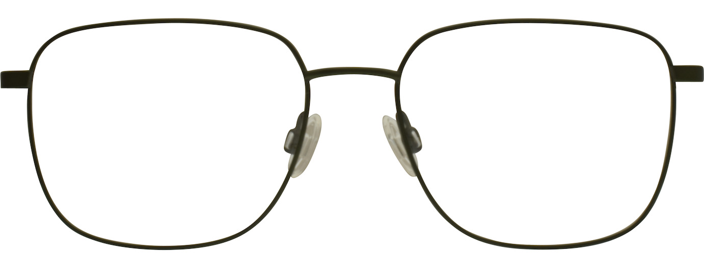 Flexon H6070 21