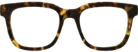 Direkt Optik 21