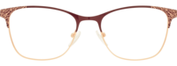 Direkt Optik 21