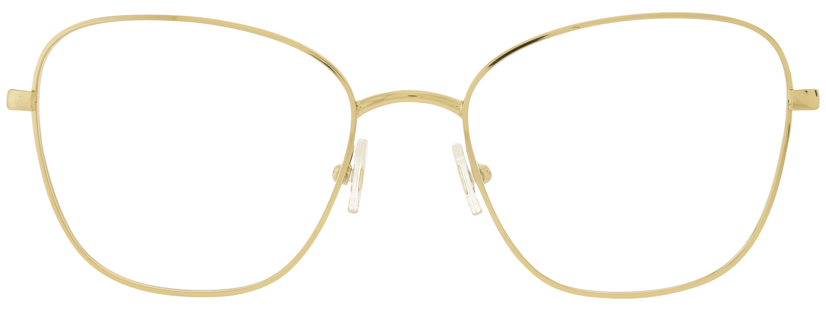 Swarovski 1025 21
