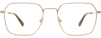 Gant 50040